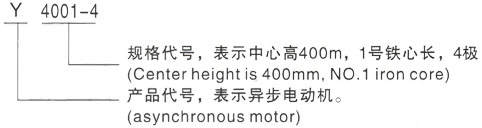 西安泰富西玛Y系列(H355-1000)高压YKK6303-6三相异步电机型号说明